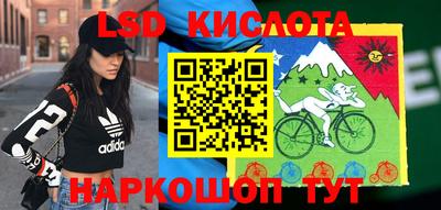 молекула духа Краснознаменск