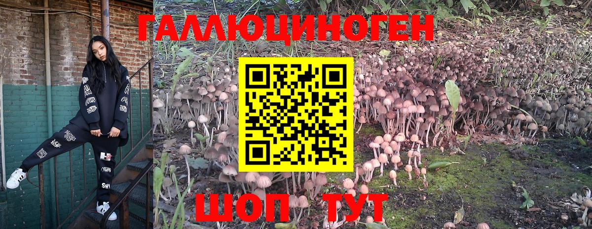 Изобильный  Галлюциногенные грибы GOLDEN TEACHER  Вход с VPN 